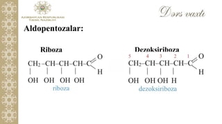 19 fruktoza, riboza, dezoksiriboza | PPTX