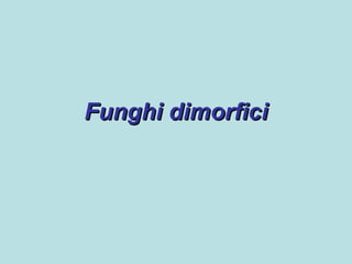 Funghi dimorfici
 