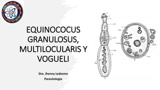 EQUINOCOCUS
GRANULOSUS,
MULTILOCULARIS Y
VOGUELI
Dra. Jhenny Ledezma
Parasitología
 