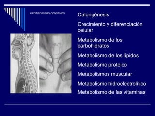 HIPOTIROIDISMO CONGENITO Calorigénesis Crecimiento y diferenciación celular  Metabolismo de los carbohidratos Metabolismo de los lípidos Metabolismo proteico Metabolismos muscular  Metabolismo hidroelectrolítico Metabolismo de las vitaminas   