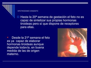HIPOTIROIDISMO CONGENITO Hasta la 20ª semana de gestación el feto no es capaz de sintetizar sus propias hormonas tiroideas pero sí que dispone de receptores para ellas.  Desde la 21ª semana el feto es ya  capaz de elaborar hormonas tiroideas aunque depende todavía, en buena  medida de las de origen materno.  