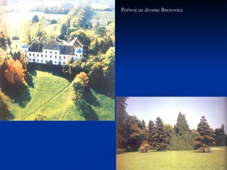 Perivoj uz dvorac Brezovica 