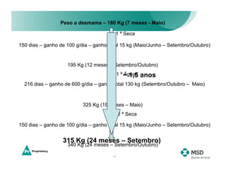 Peso a desmama – 180 Kg (7 meses - Maio)

                                        1 ª Seca

150 dias – ganho de 100 g/dia – ganho total 15 kg (Maio/Junho – Setembro/Outubro)


                    195 Kg (12 meses – Setembro/Outubro)
                                            1 ª ~ 1,5
                                                Águas   anos
  216 dias – ganho de 600 g/dia – ganho total 130 kg (Setembro/Outubro – Maio)



                           325 Kg (19 meses – Maio)
                                            2 ª Seca

150 dias – ganho de 100 g/dia – ganho total 15 kg (Maio/Junho – Setembro/Outubro)


                  315 Kg (24 meses – Setembro)
                    340 Kg (24 meses – Setembro/Outubro)

                                       11
 