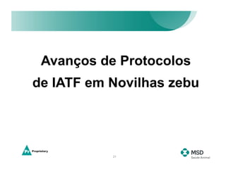 Avanços de Protocolos
de IATF em Novilhas zebu




           21
 