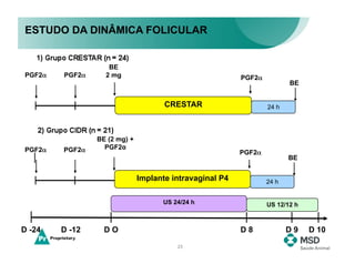 ESTUDO DA DINÂMICA FOLICULAR


                   BE
PGF2α   PGF2α     2 mg                                   PGF2α
                                                                        BE


                                     CRESTAR                     24 h




                BE (2 mg) +
PGF2α   PGF2α     PGF2α
                                                         PGF2α
                                                                        BE


                              Implante intravaginal P4           24 h


                                    US 24/24 h                   US 12/12 h



D -24   D -12     DO                                     D8             D9    D 10
                                        23
 