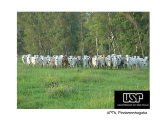 APTA, Pindamonhagaba
 