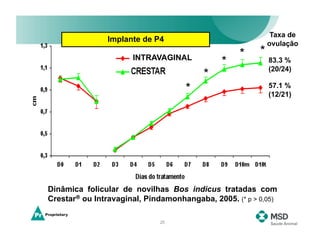 Taxa de
               Implante de P4
                                                            ovulação
                      INTRAVAGINAL                 *    *
                                              *             83.3 %
                                                            (20/24)
                                         *
                                    *                       57.1 %
                                                            (12/21)




Dinâmica folicular de novilhas Bos indicus tratadas com
Crestar® ou Intravaginal, Pindamonhangaba, 2005. (* p > 0,05)

                             25
 