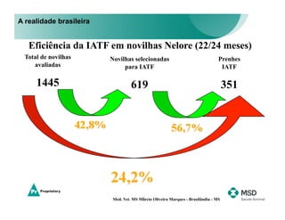 A realidade brasileira


   Eficiência da IATF em novilhas Nelore (22/24 meses)
  Total de novilhas      Novilhas selecionadas                                  Prenhes
     avaliadas                para IATF                                          IATF

      1445                         619                                              351




                                        4
                          Med. Vet. MS Márcio Oliveira Marques - Brasilândia - MS
 