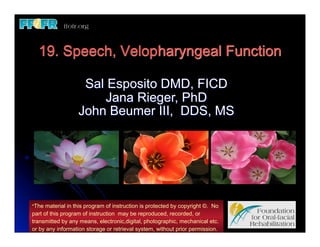 19. Speech, Velopharyngeal Function

                   Sal Esposito DMD, FICD
                      Jana Rieger, PhD
                  John Beumer III, DDS, MS




*The material in this program of instruction is protected by copyright ©. No
part of this program of instruction may be reproduced, recorded, or
transmitted by any means, electronic,digital, photographic, mechanical etc.
or by any information storage or retrieval system, without prior permission.
 