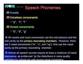 19.(new)speech and velopharyngeal function | PDF