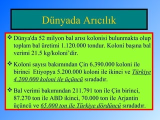 Dünyada Arıcılık 
Dünya'da 52 milyon bal arısı kolonisi bulunmakta olup 
toplam bal üretimi 1.120.000 tondur. Koloni başına bal 
verimi 21.5 kg/koloni’dir. 
Koloni sayısı bakımından Çin 6.390.000 koloni ile 
birinci Etiyopya 5.200.000 koloni ile ikinci ve Türkiye 
4.200.000 koloni ile üçüncü sıradadır. 
Bal verimi bakımından 211.791 ton ile Çin birinci, 
87.270 ton ile ABD ikinci, 70.000 ton ile Arjantin 
üçüncü ve 65.000 ton ile Türkiye dördüncü sıradadır. 
 