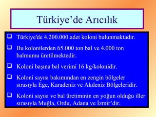 Türkiye’de Arıcılık 
 Türkiye'de 4.200.000 adet koloni bulunmaktadır. 
 Bu kolonilerden 65.000 ton bal ve 4.000 ton 
balmumu üretilmektedir. 
 Koloni başına bal verimi 16 kg/kolonidir. 
 Koloni sayısı bakımından en zengin bölgeler 
sırasıyla Ege, Karadeniz ve Akdeniz Bölgeleridir. 
 Koloni sayısı ve bal üretiminin en yoğun olduğu iller 
sırasıyla Muğla, Ordu, Adana ve İzmir’dir. 
 