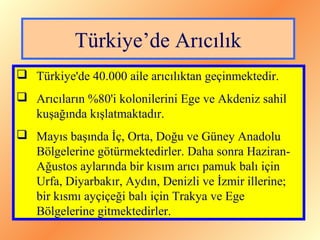 Türkiye’de Arıcılık 
 Türkiye'de 40.000 aile arıcılıktan geçinmektedir. 
 Arıcıların %80'i kolonilerini Ege ve Akdeniz sahil 
kuşağında kışlatmaktadır. 
 Mayıs başında İç, Orta, Doğu ve Güney Anadolu 
Bölgelerine götürmektedirler. Daha sonra Haziran- 
Ağustos aylarında bir kısım arıcı pamuk balı için 
Urfa, Diyarbakır, Aydın, Denizli ve İzmir illerine; 
bir kısmı ayçiçeği balı için Trakya ve Ege 
Bölgelerine gitmektedirler. 
 