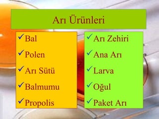 Arı Ürünleri 
Bal 
Polen 
Arı Sütü 
Balmumu 
Propolis 
Arı Zehiri 
Ana Arı 
Larva 
Oğul 
Paket Arı 
 