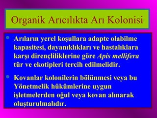 Organik Arıcılıkta Arı Kolonisi 
 Arıların yerel koşullara adapte olabilme 
kapasitesi, dayanıklıkları ve hastalıklara 
karşı dirençliliklerine göre Apis mellifera 
tür ve ekotipleri tercih edilmelidir. 
 Kovanlar kolonilerin bölünmesi veya bu 
Yönetmelik hükümlerine uygun 
işletmelerden oğul veya kovan alınarak 
oluşturulmalıdır. 
 