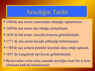 Arıcılığın Tarihi 
1568'de ana arının yumurtadan oluştuğu saptanmıştır. 
1609'da ana arının dişi olduğu anlaşılmıştır. 
1638’de bal arıları Amerika kıtasına götürülmüştür. 
1771’de ana arının havada çiftleştiği belirlenmiştir. 
1788'de işçi arıların petekler üzerinde dans ettiği saptandı. 
1851’de Langstroth tipi kovan geliştirilmiştir. 
Bu kovanlar verim artışı yanında arıcılığın ticari bir iş kolu 
olmasına katkıda bulunmuştur. 
 
