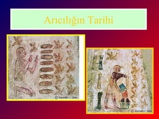 Arıcılığın Tarihi 
 
