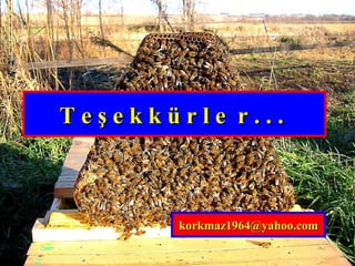 TT ee şş ee kk kk üü rr ll ee rr .. .. .. 
kkoorrkkmmaazz11996644@@yyaahhoooo..ccoomm 
