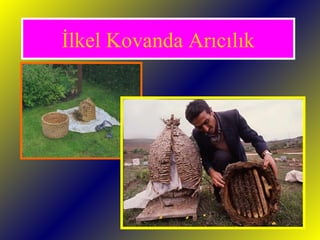 İlkel Kovanda Arıcılık 
 