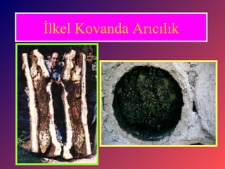 İlkel Kovanda Arıcılık 
 