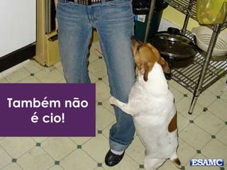 Também não 
é cio! 
 