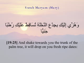 Surah Maryam (Mary) وَهُزِّي إِلَيْكِ بِجِذْعِ النَّخْلَةِ تُسَاقِطْ عَلَيْكِ رُطَبًا جَنِيًّا  [19:25]  And shake towards you the trunk of the palm tree, it will drop on you fresh ripe dates:  