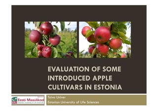EVALUATION OF SOME
INTRODUCED APPLE
CULTIVARS IN ESTONIA
Toivo Univer
Estonian University of Life Sciences
 