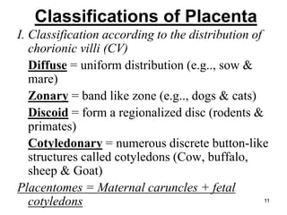 Classifications of Placenta
I. Classification according to the distribution of
chorionic villi (CV)
Diffuse = uniform distribution (e.g.., sow &
mare)
Zonary = band like zone (e.g.., dogs & cats)
Discoid = form a regionalized disc (rodents &
primates)
Cotyledonary = numerous discrete button-like
structures called cotyledons (Cow, buffalo,
sheep & Goat)
Placentomes = Maternal caruncles + fetal
cotyledons 11
 