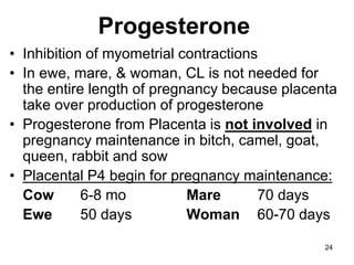 Progesterone
• Inhibition of myometrial contractions
• In ewe, mare, & woman, CL is not needed for
the entire length of pregnancy because placenta
take over production of progesterone
• Progesterone from Placenta is not involved in
pregnancy maintenance in bitch, camel, goat,
queen, rabbit and sow
• Placental P4 begin for pregnancy maintenance:
Cow 6-8 mo Mare 70 days
Ewe 50 days Woman 60-70 days
24
 
