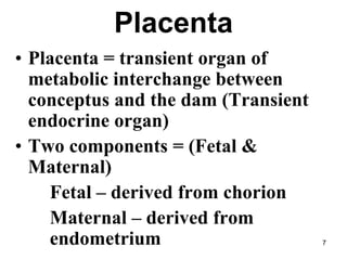 • Placenta = transient organ of
metabolic interchange between
conceptus and the dam (Transient
endocrine organ)
• Two components = (Fetal &
Maternal)
Fetal – derived from chorion
Maternal – derived from
endometrium
Placenta
7
 