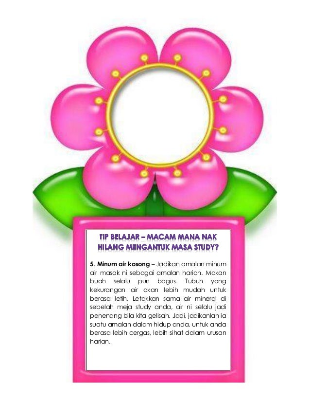 Cara Nak Belajar Untuk Upsr