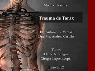 Modulo Trauma


Trauma de Torax

 Dr. Antonio A. Vargas
Dra. Ma. Andrea Castillo


        Tutor:
   Dr. A. Nicaragua
 Cirugia-Laparoscopia

      Junio 2012
 