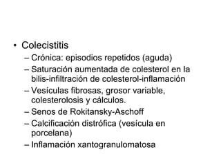 Colecistitis  Crónica: episodios repetidos (aguda) Saturación aumentada de colesterol en la bilis-infiltración de colesterol-inflamación Vesículas fibrosas, grosor variable, colesterolosis y cálculos. Senos de Rokitansky-Aschoff  Calcificación distrófica (vesícula en porcelana) Inflamación xantogranulomatosa 