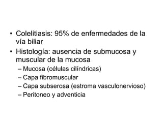 Colelitiasis: 95% de enfermedades de la vía biliar  Histología: ausencia de submucosa y muscular de la mucosa Mucosa (células cilíndricas) Capa fibromuscular Capa subserosa (estroma vasculonervioso) Peritoneo y adventicia  
