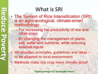 What is SRI
• The System of Rice Intensification (SRI)
is an agro-ecological, climate-smart
methodology
– For increasing t...