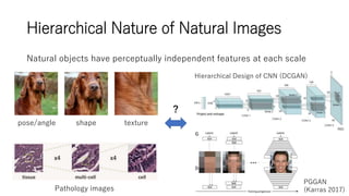 Disentangled Representation Learning of Deep Generative Models | PPTX