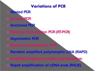 Polymerase chain reaction of the system manager | PPTX