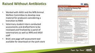 Raised Without Antibiotics
• Worked with AASV and the NPB Animal
Welfare Committee to develop new
material for producers considering a
transition to RWA
• Veterinary student intern conducted
assessments and drafted form to be
reviewed and finalized by a panel of
veterinarians as well as NPB and AASV
staff
• Brief, one page self-assessment tool
available for download on the pork store
 