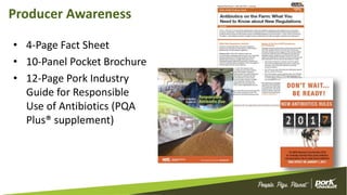 Producer Awareness
• 4-Page Fact Sheet
• 10-Panel Pocket Brochure
• 12-Page Pork Industry
Guide for Responsible
Use of Antibiotics (PQA
Plus® supplement)
 