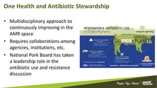 One Health and Antibiotic Stewardship
• Multidisciplinary approach to
continuously improving in the
AMR space
• Requires collaborations among
agencies, institutions, etc.
• National Pork Board has taken
a leadership role in the
antibiotic use and resistance
discussion
 