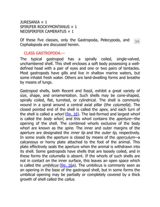 Design and Analysis of Experiments 2nd Edition Angela Dean | PDF