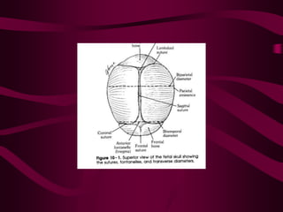 ppt on  normal labour and its management