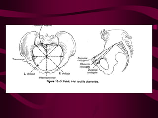 ppt on  normal labour and its management