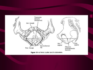 ppt on  normal labour and its management