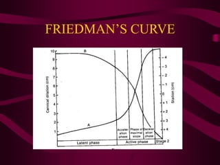 FRIEDMAN’S CURVE
 