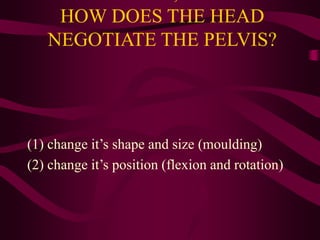 HOW DOES THE HEAD
NEGOTIATE THE PELVIS?
(1) change it’s shape and size (moulding)
(2) change it’s position (flexion and rotation)
 