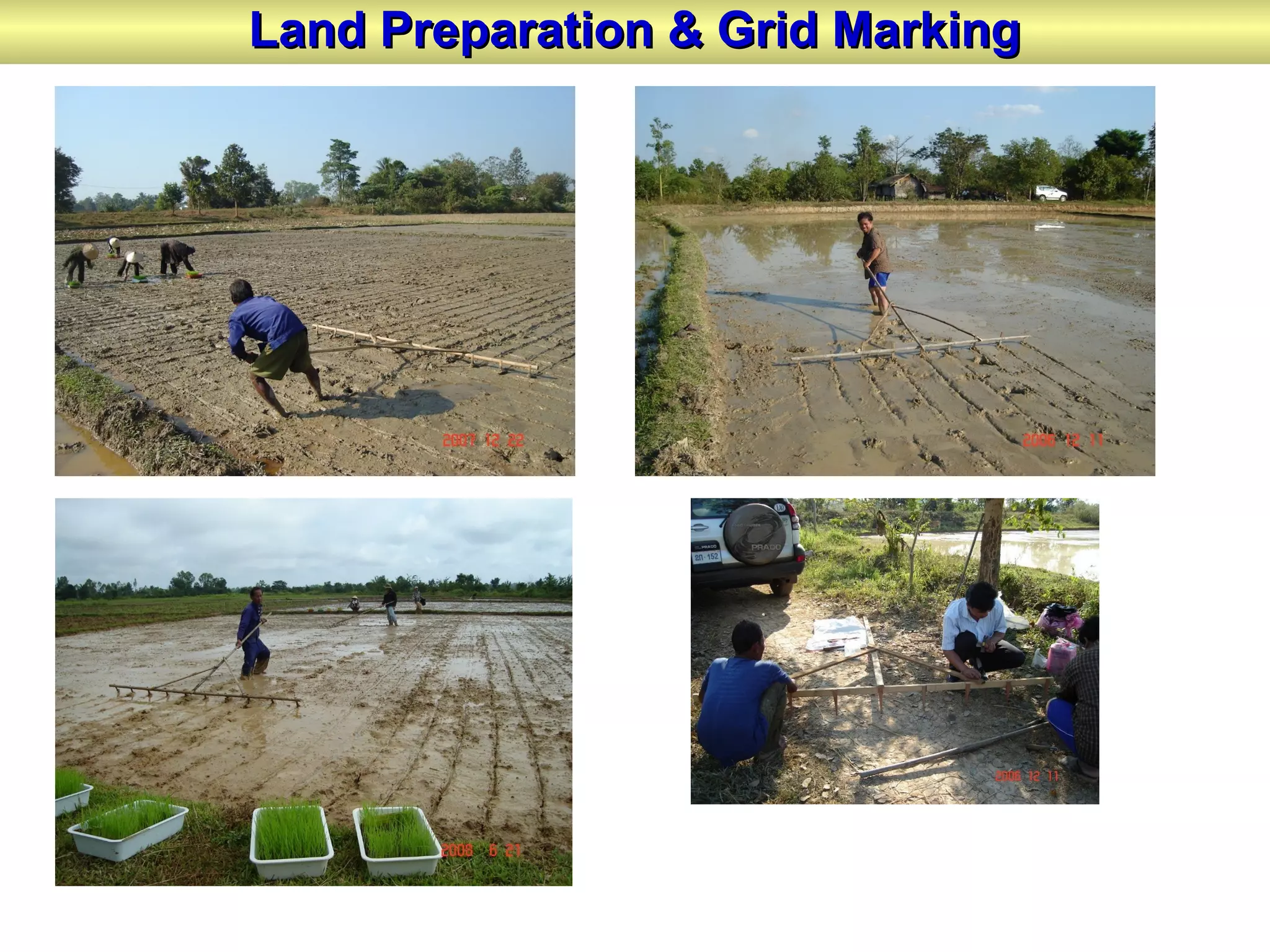 Land Preparation & Grid MarkingLand Preparation & Grid Marking
 