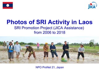 Photos of SRI Activity in Laos
SRI Promotion Project (JICA Assistance)
from 2006 to 2018
NPO ProNet 21, Japan
 