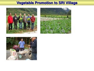 Vegetable Promotion to SRI VillageVegetable Promotion to SRI Village
 
