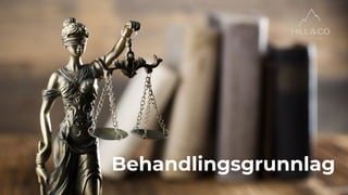 Behandlingsgrunnlag
 
